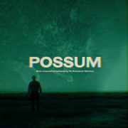 POSSUM